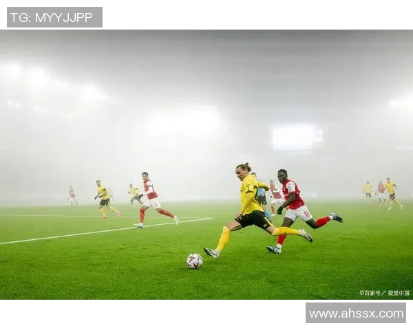 杨强专访：探寻足球成功背后的秘密与智慧