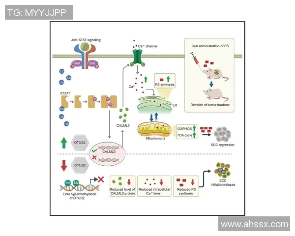 数据分析揭示WE团队协作表现的优势与改进空间 数据分析揭示WE团队协作表现的优势与改进空间